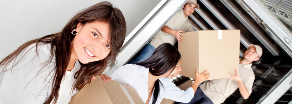 Professional Removalists Willare